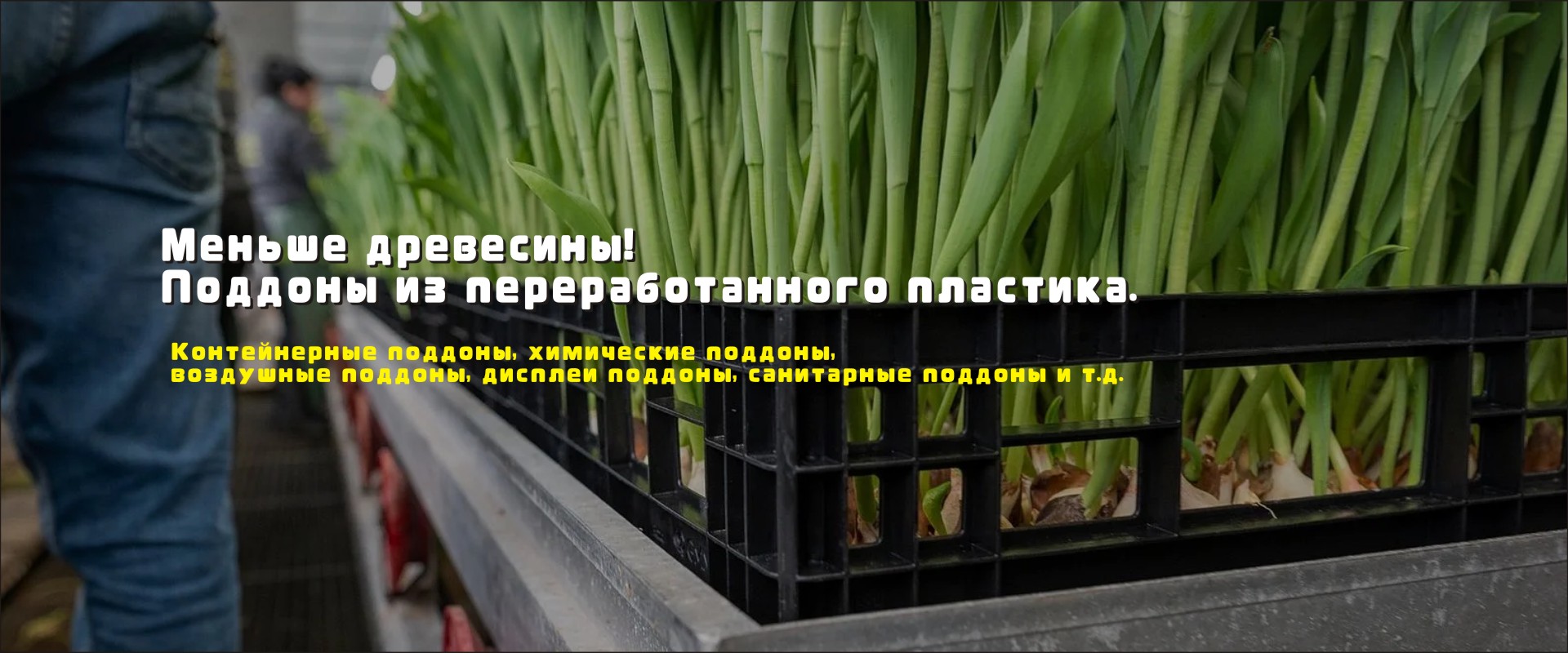 ru